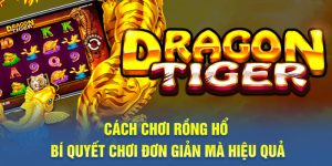c&aacute;ch chơi Rồng Hổ