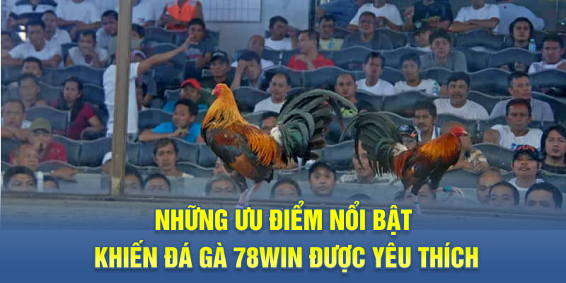 Những ưu điểm nổi bật khiến đá gà 78WIN được yêu thích